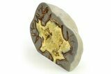 Polished, Crystal Filled Septarian Nodule - Utah #272922-2